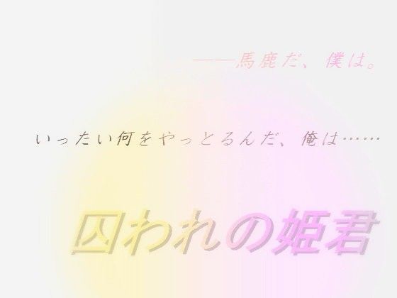 デモ・体験版あり❤囚われの姫君｜