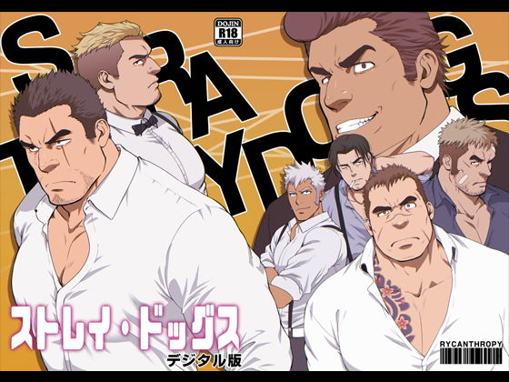 筋肉❤STRAY DOGS｜