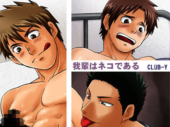 筋肉❤我輩はネコである｜