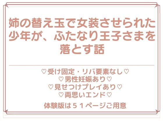 ノベル❤婚約破棄に異議を唱えたら、王子殿下を抱くことになった件｜