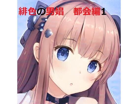 ノベル❤緋色の男娼 都会編（1）｜ 緋色の男娼