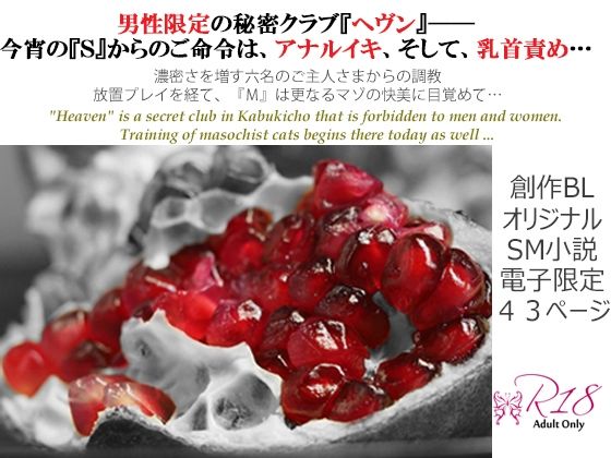 辱め❤フェチズム・ヘヴン・SMドリーム 第三夜〜いじわる放置エッチ・全身リップアナル責め・乳首責め編〜｜ フェチズム・ヘヴン・SMドリーム