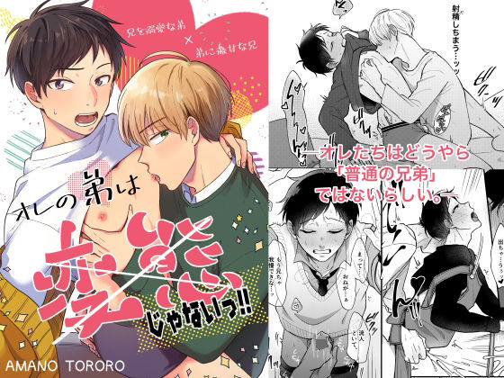 BL（ボーイズラブ）❤オレの弟は変態じゃないっ！！｜