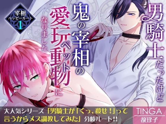 ファンタジー❤男騎士だったけど鬼の宰相の愛玩動物（ペット）になりました（1）｜ 男騎士だったけど