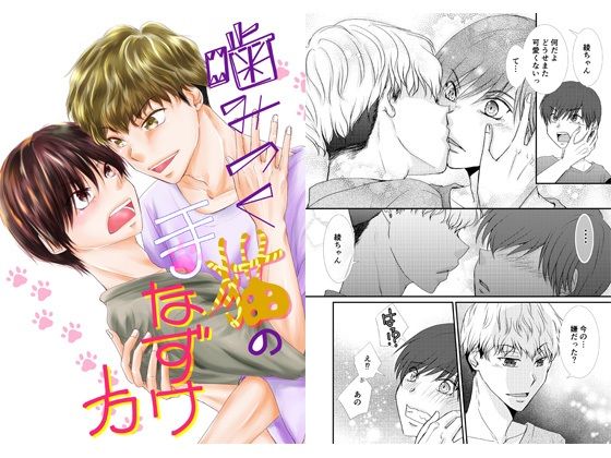 BL（ボーイズラブ）❤嚙みつく猫の手なずけ方｜