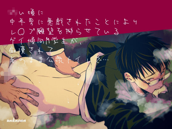 BL（ボーイズラブ）❤◯い頃に中年男に悪戯されたことによりレ〇プ願望を拗らせているゲイ傾向M学生が、痴●されてそのまま公衆トイレで…｜