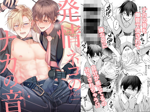 異物挿入❤発情ネコのナカの音｜