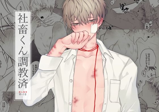 BL（ボーイズラブ）❤社畜くん調教済｜ 社畜くん調教済