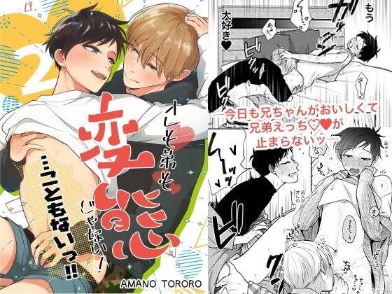 BL（ボーイズラブ）❤オレも弟も変態じゃない！こともないっ！！｜