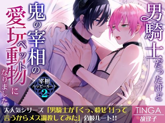 ファンタジー❤男騎士だったけど鬼の宰相の愛玩動物（ペット）になりました（2）｜ 男騎士だったけど