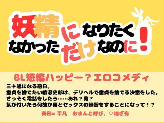 処女❤妖精になりたくなかっただけなのに！【小説】｜