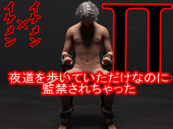 イラスト・CG集❤夜道を歩いていただけなのに監禁されちゃった｜ SILVER SERENADE