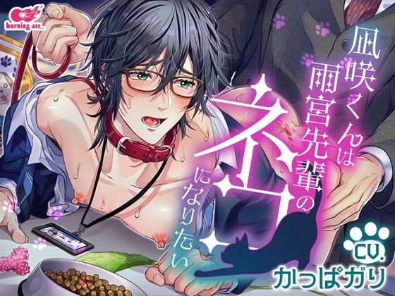 BL（ボーイズラブ）❤凪咲くんは雨宮先輩のネコになりたい｜