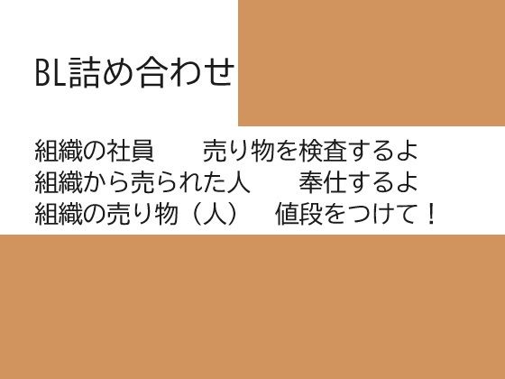 異物挿入❤飼われた男×男を売った社員、男を検査する男1，2BL｜