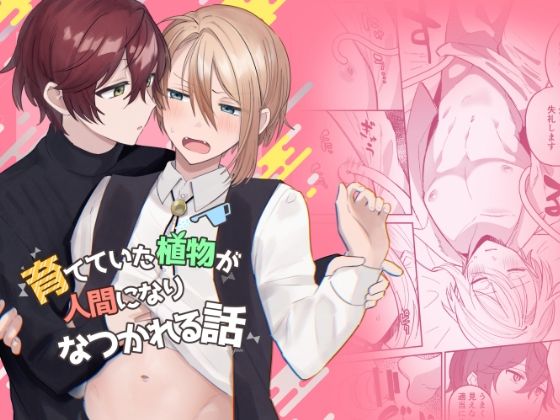 触手❤育てていた植物が人間になりなつかれる話｜