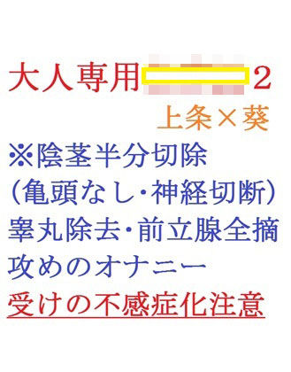 デモ・体験版あり❤大人専用〇〇〇２｜