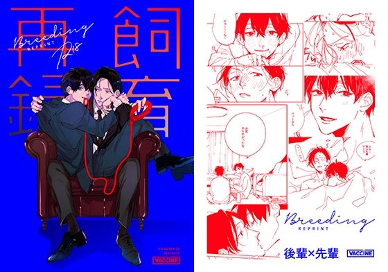 BL（ボーイズラブ）❤飼育再録｜