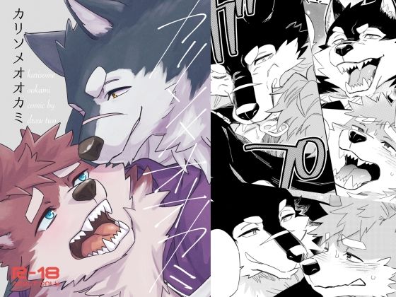 筋肉❤カリソメオオカミ｜