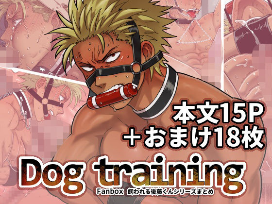 筋肉❤DOG TRAINING｜