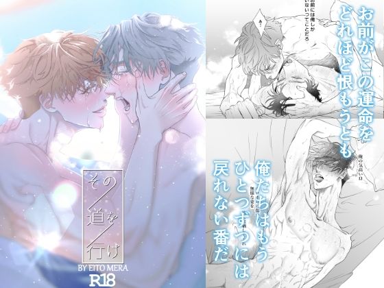 BL（ボーイズラブ）❤その道を行け｜