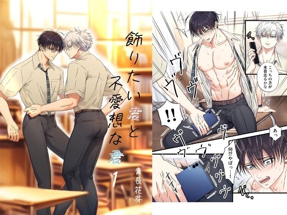 学園もの❤飾りたい君と不愛想な君1｜ 飾りたい君と不愛想な君