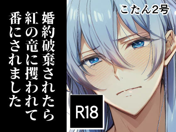 ノベル❤婚約破棄されたら紅の竜に攫われて番にされました｜