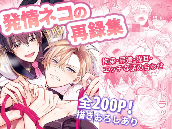 異物挿入❤発情ネコの再録集｜