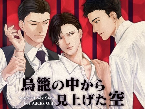 BL（ボーイズラブ）❤鳥籠の中から見上げた空｜