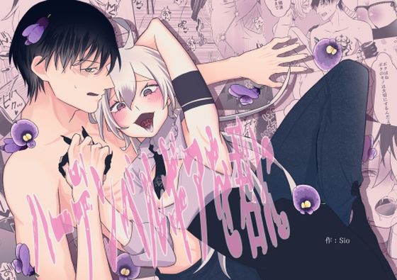 ファンタジー❤ハーデンベルギアを君に｜