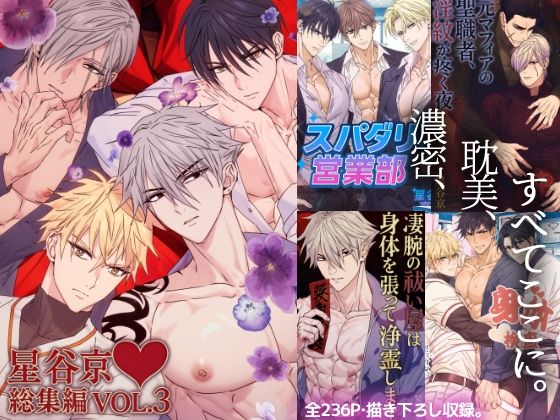 拘束❤星谷京総集編 VOL.3｜