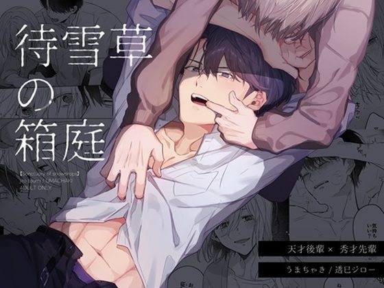 BL（ボーイズラブ）❤待雪草の箱庭｜